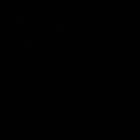 Meet your Posher, Rylee - Picture 1 of 1